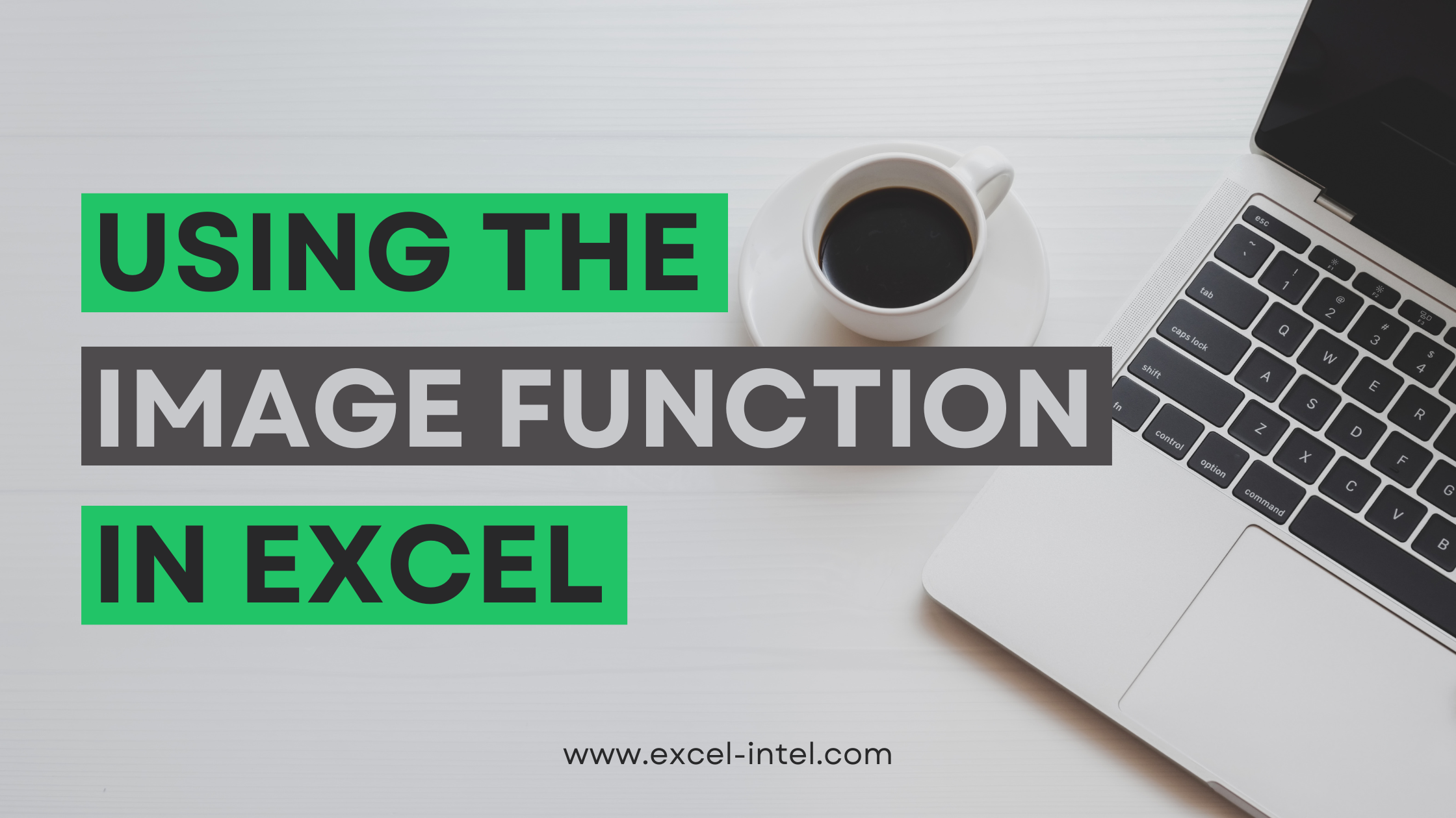 Using the IMAGE Function in Excel