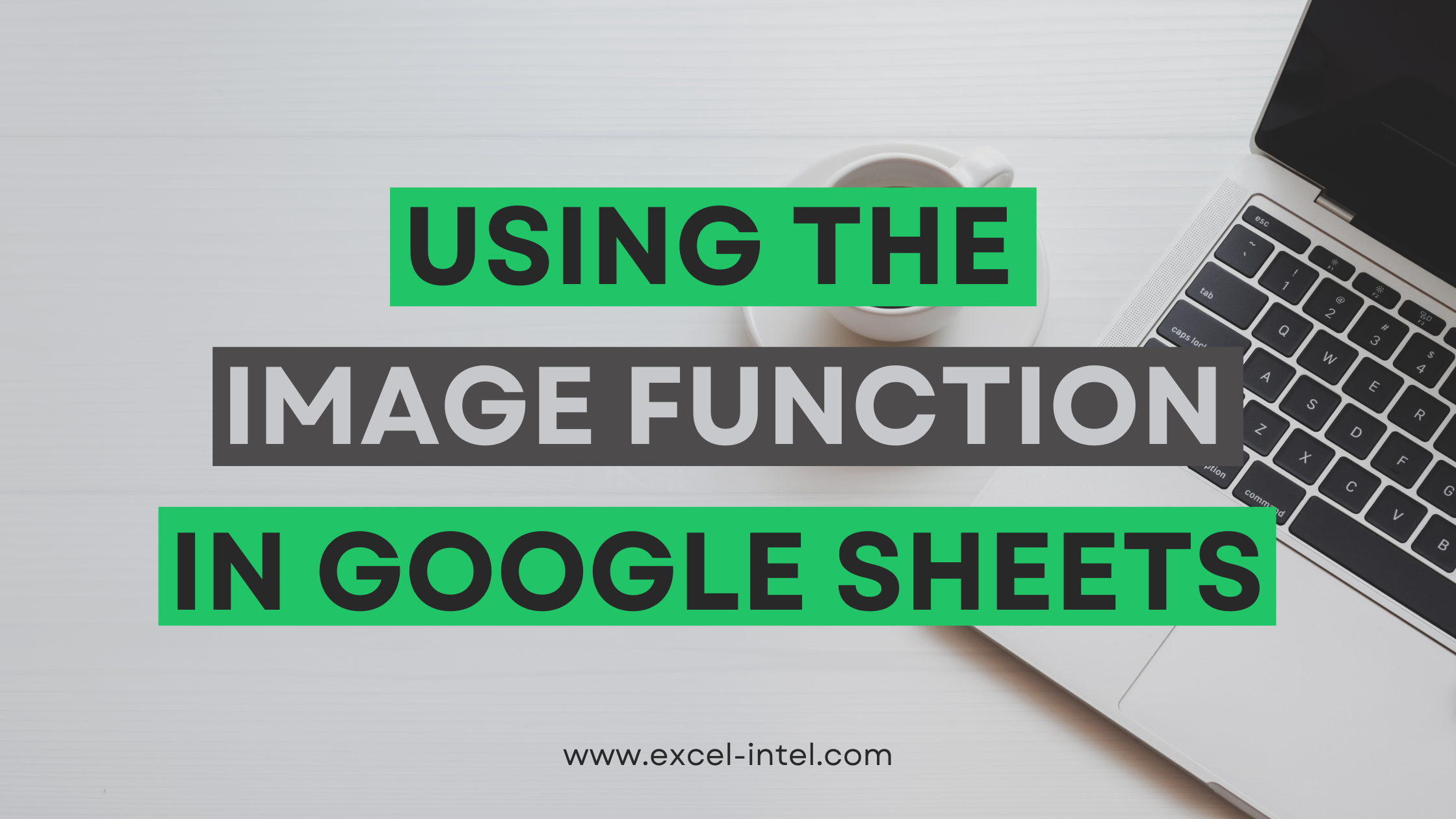 Using The IMAGE Function In Google Sheets